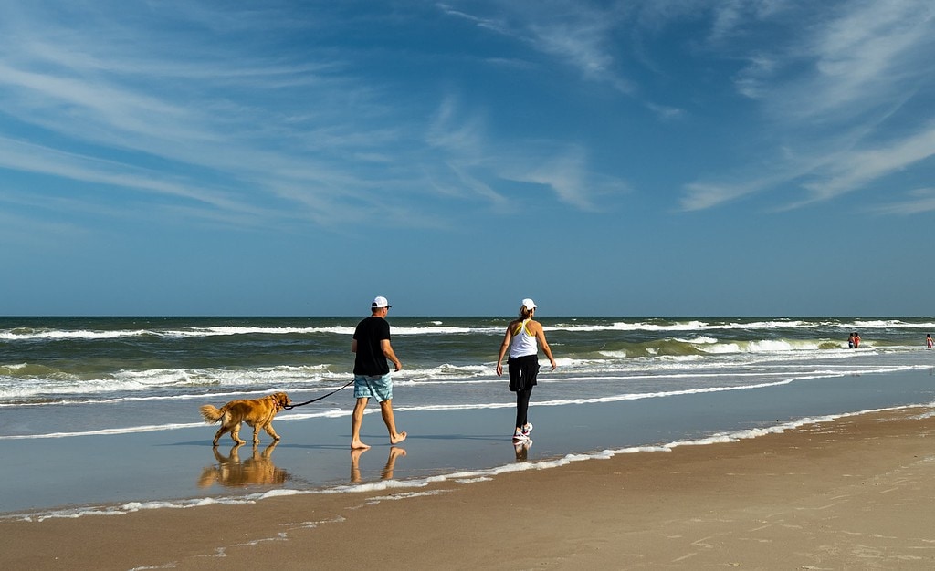 Couple  walking  dog  along shore at St. Augustine beach.
