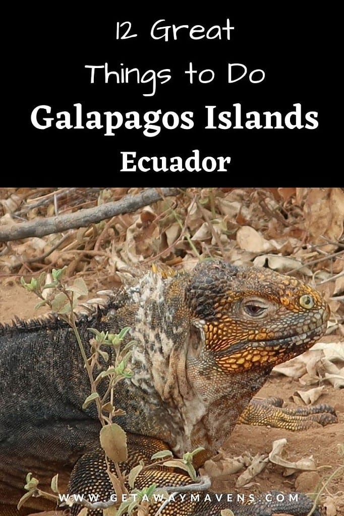 Best Things to Do in the Galapagos Islands pin