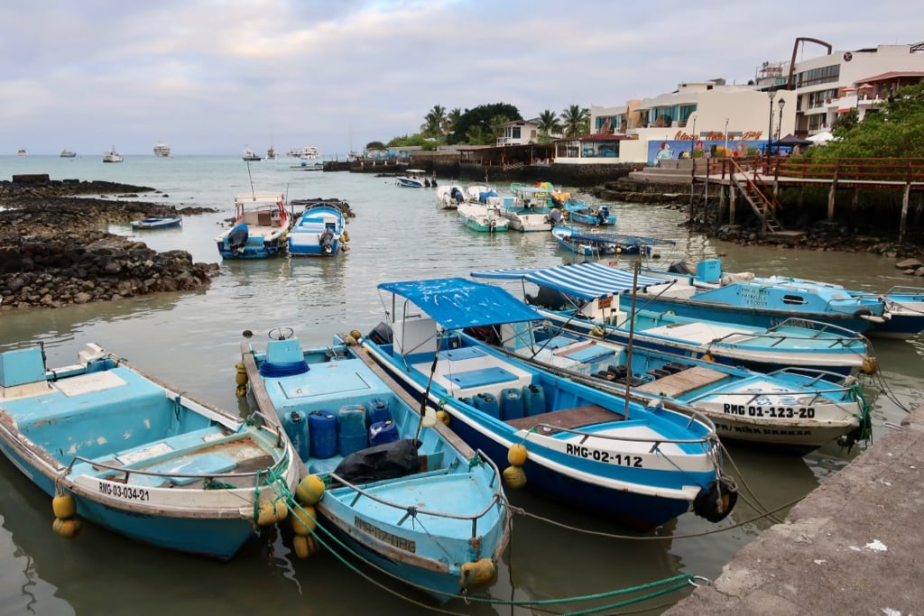 Blue fishing boats in Santa Cruz harbor Galapagos