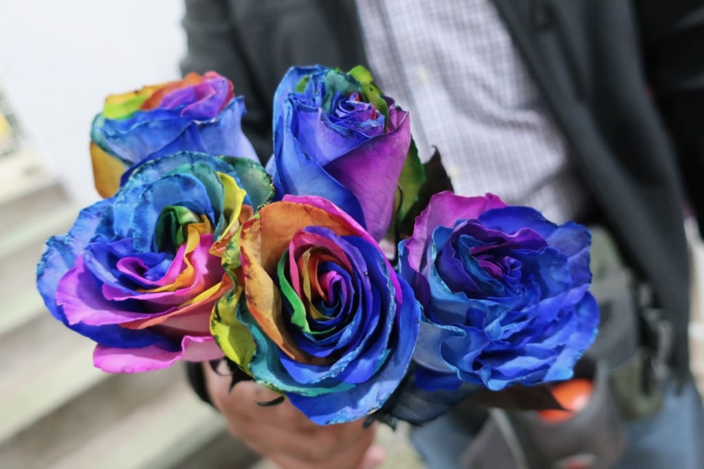 Rainbow Roses at Quito market