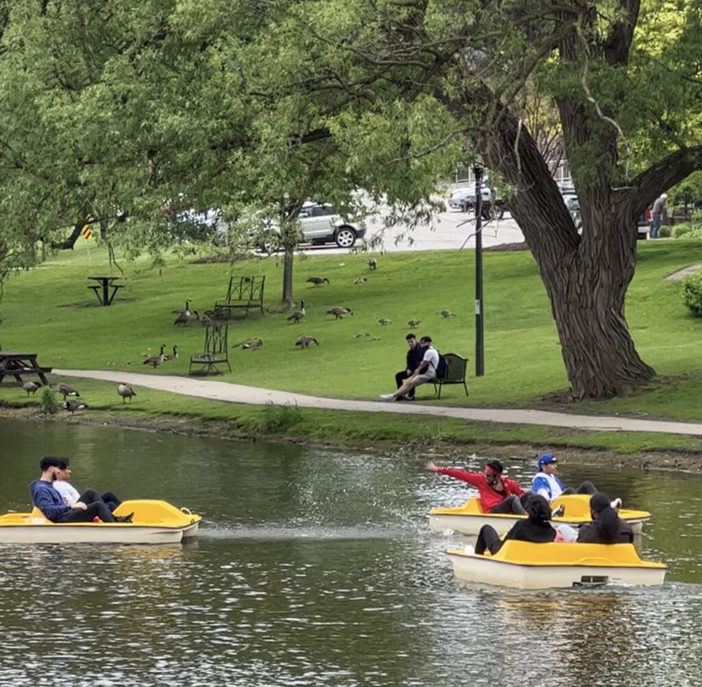 Paddle boats on the Avon River