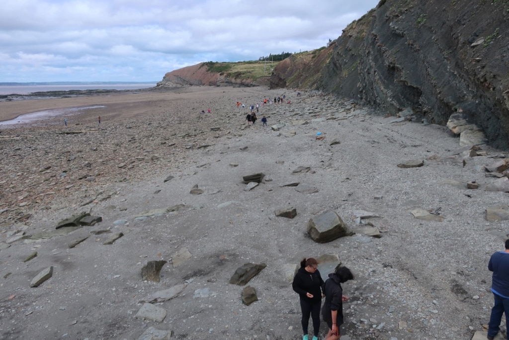 Joggins Fossil Cliffs Bay of Fundy Nova Scotia 