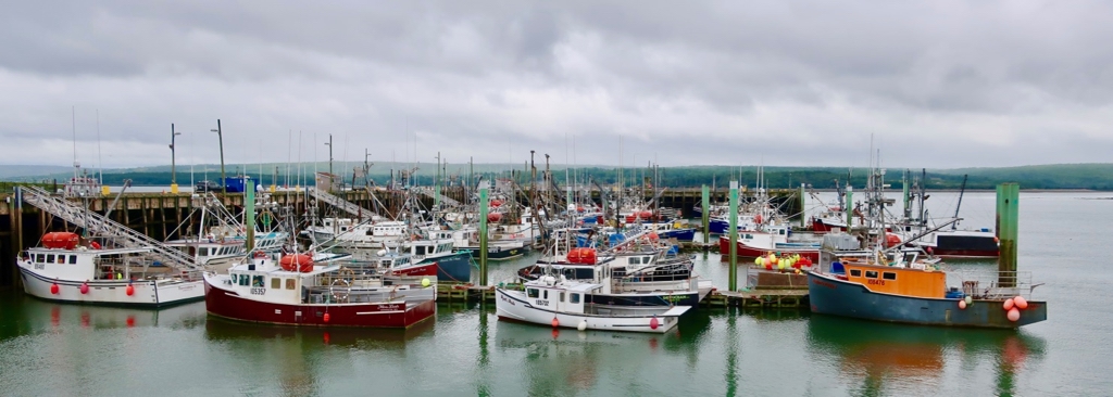 Digby NS Fishing Fleet