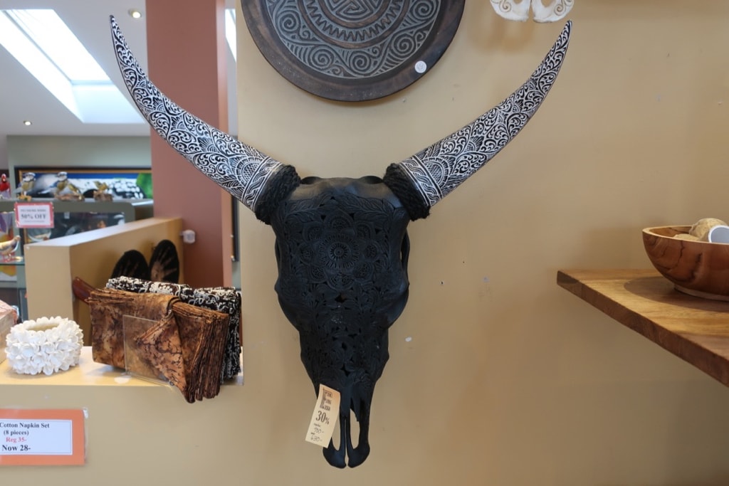 Funky cow skull art Dunes Gallery PEI