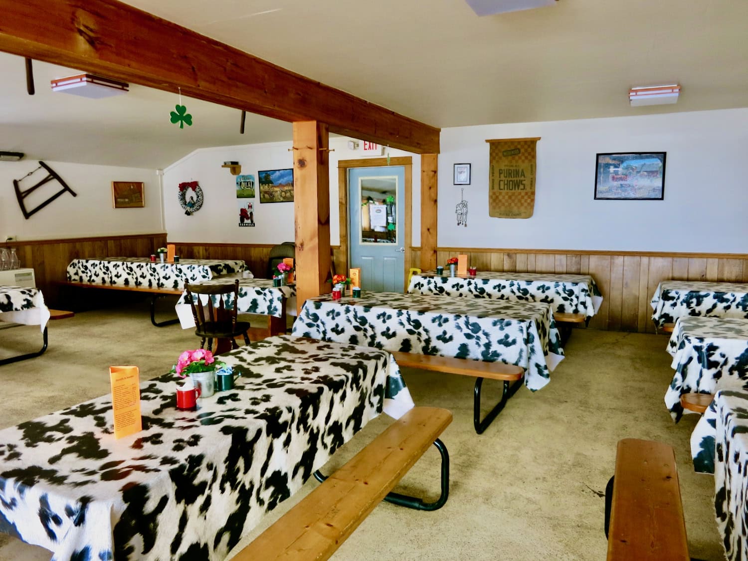 Ioka Valley Farm Calf-A for springtime pancake breakfasts MA