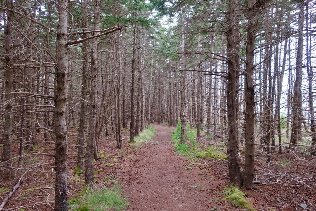 Le Buttereau Trail Cabot Trail NS