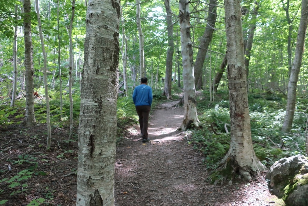 Lone Shieling Trail Cabot Trail NS