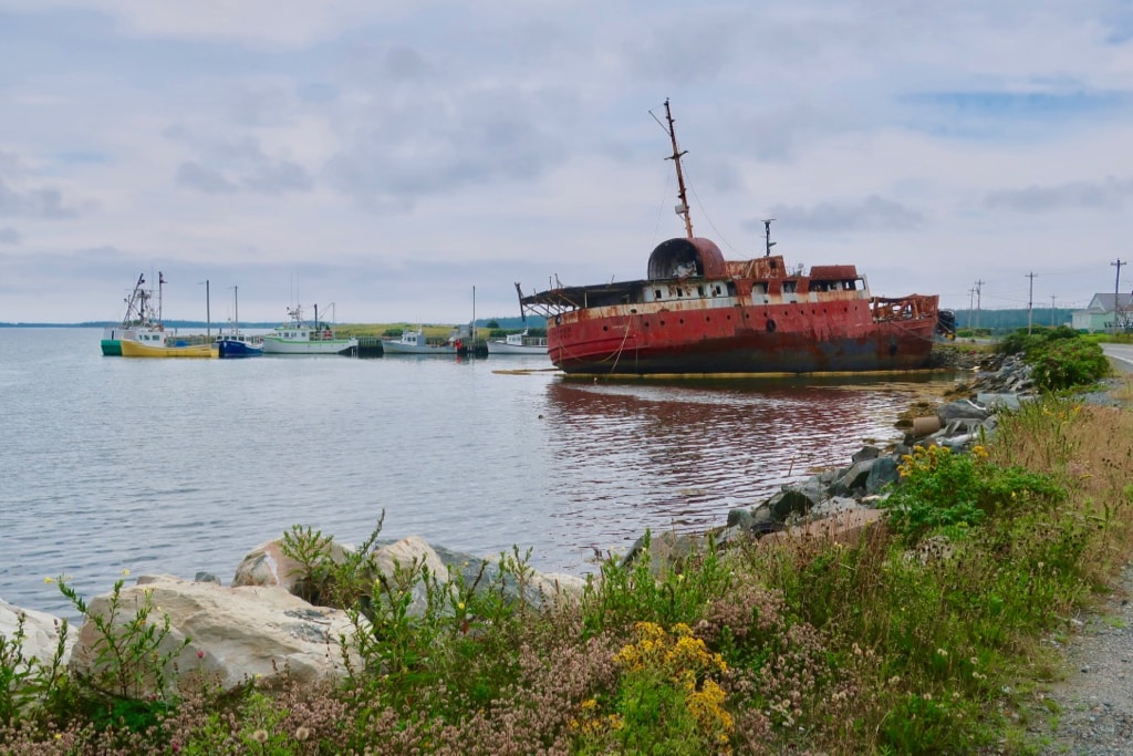 Unexpected surprise on Nova Scotia Eastern Shore