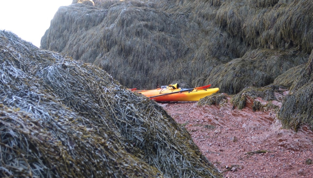 Kayak pulled onto seaweed covered rocks with NovaShores Adventures Advocate Harbor NS