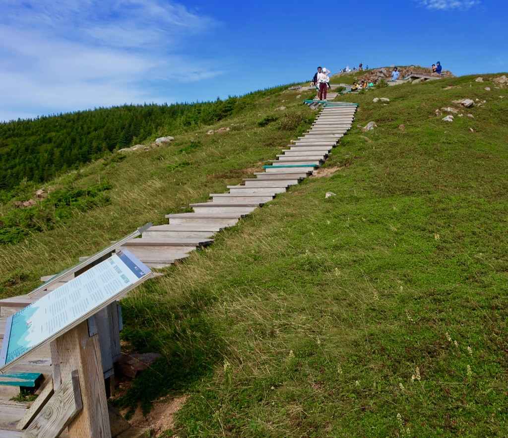 Climbing back up steps on Skyline Trail Cape Breton Highlands NP