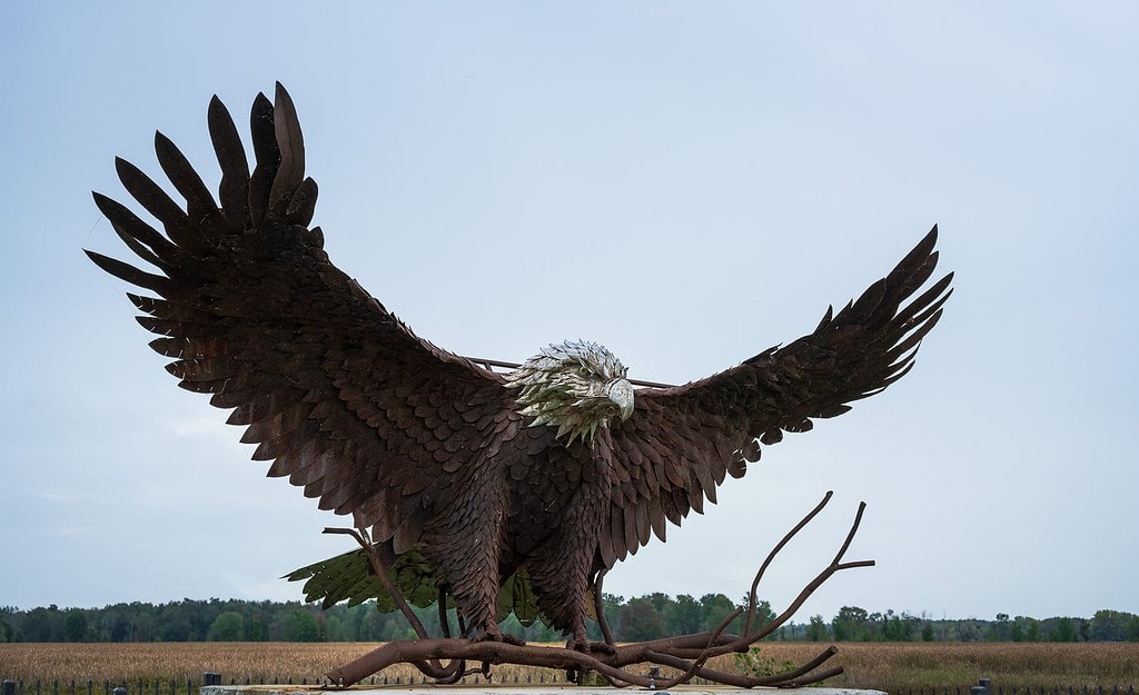 Bald Eagle Statue at Montezuma Wildlife Refuge