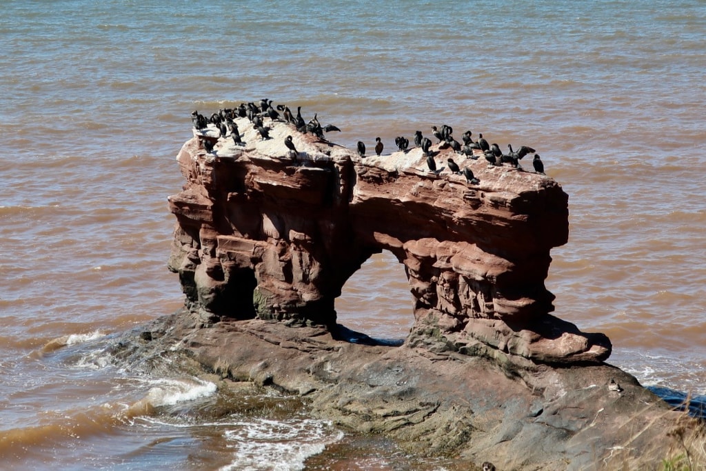 Cape Egmont PEI rock formations