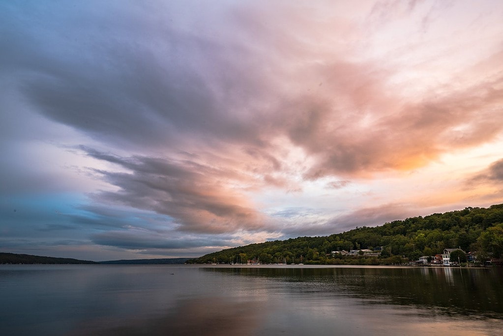 Dawn at Stewart Park