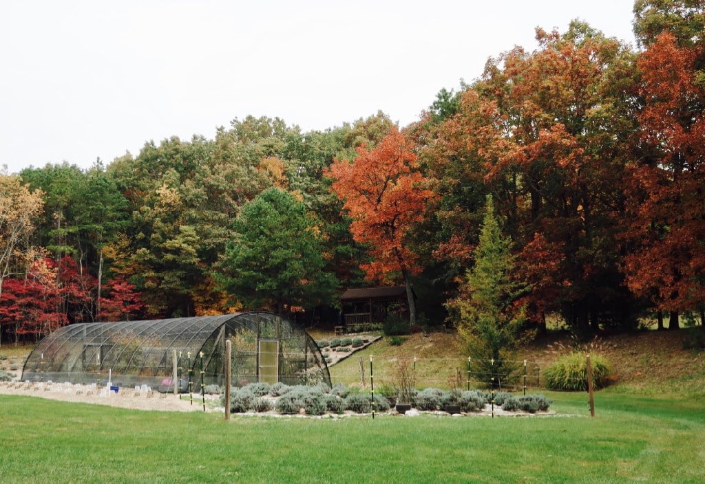 Enclosed Butterfly Garden at Beagle Ridge Herb Farm VA