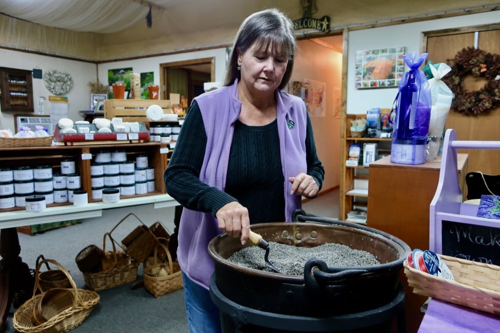 Ellen Reynolds scooping dry lavender at Beagle Ridge Herb Farm VA