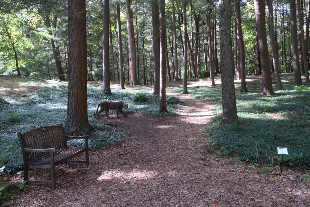 The Mount walking trails Lenox MA