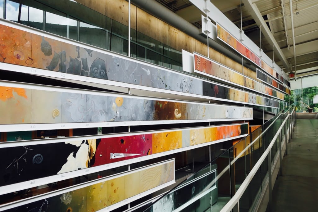 Ceramic tile mural lines ramp to exhibits at Museum of the Earth Ithaca NY