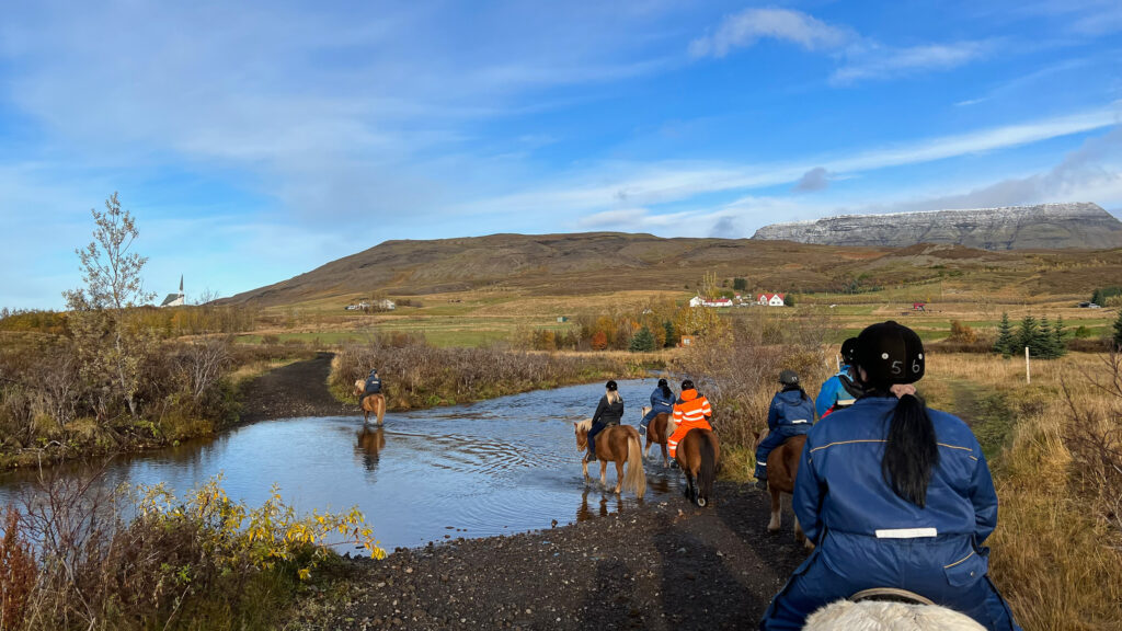 Riding Icelandic horses in Iceland
