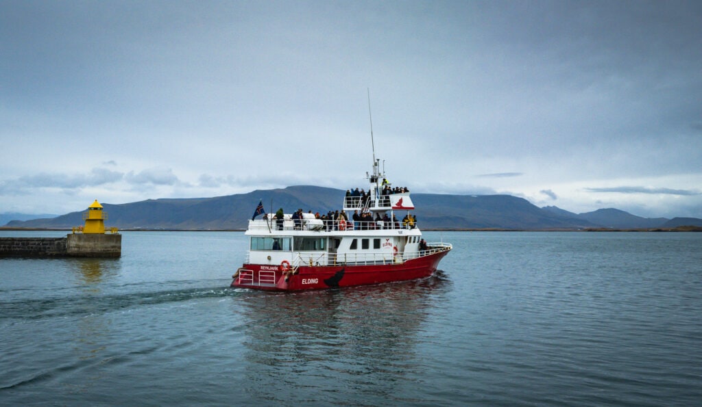 Whale watching tour boat in Reykjavik Harbor