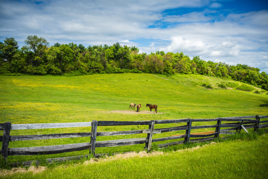 Find rolling green hills, horses, and farms on romantic getaways in PA.