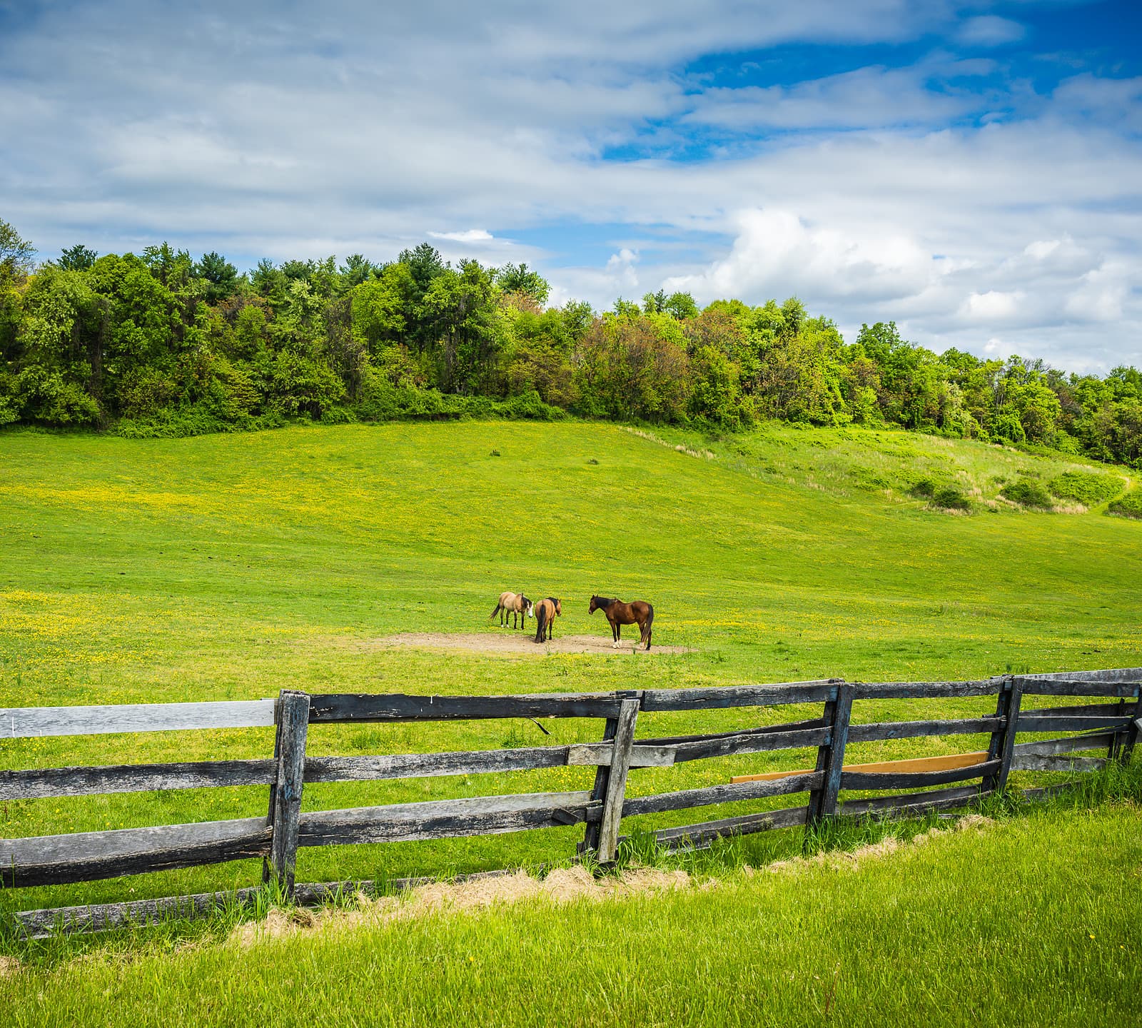 30+ Top Romantic Getaways in PA To Visit Now