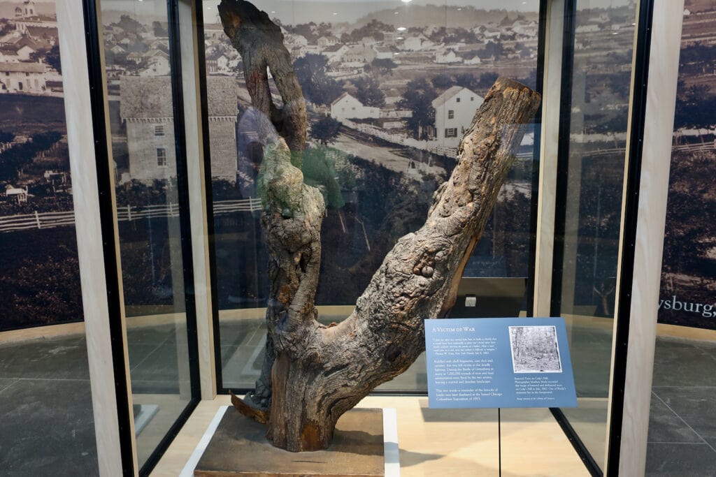 tree riddled with cannon fire gettysburg