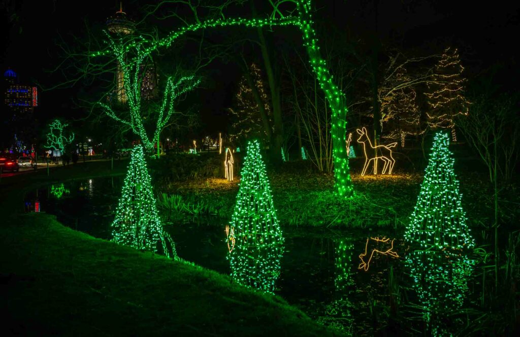 The Enchanted Forest in Queen Victoria Park's Duck Pond.