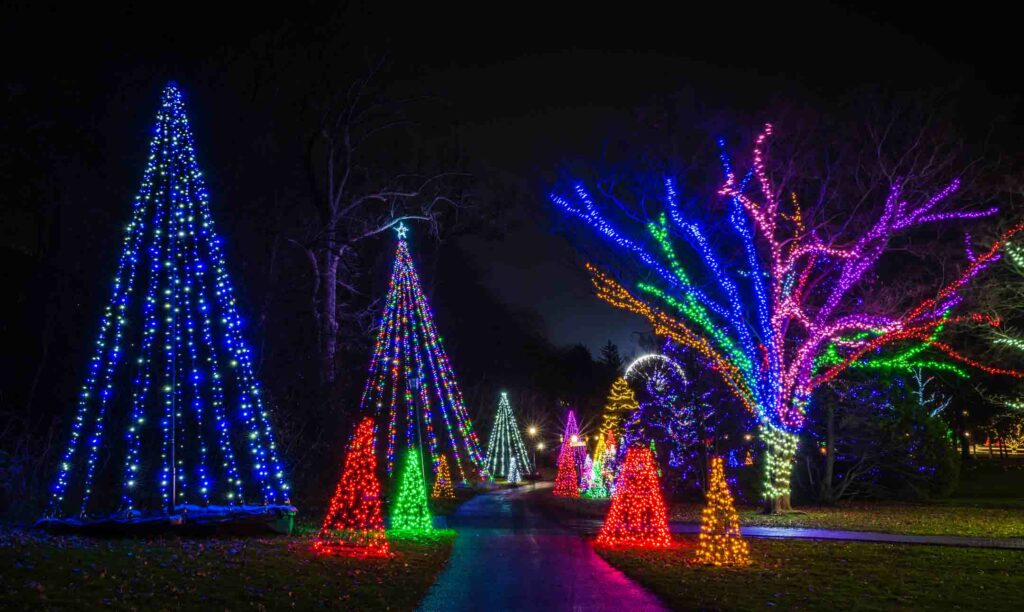 Christmas Tree path in Winter Lights Festival at Queen Victoria Park