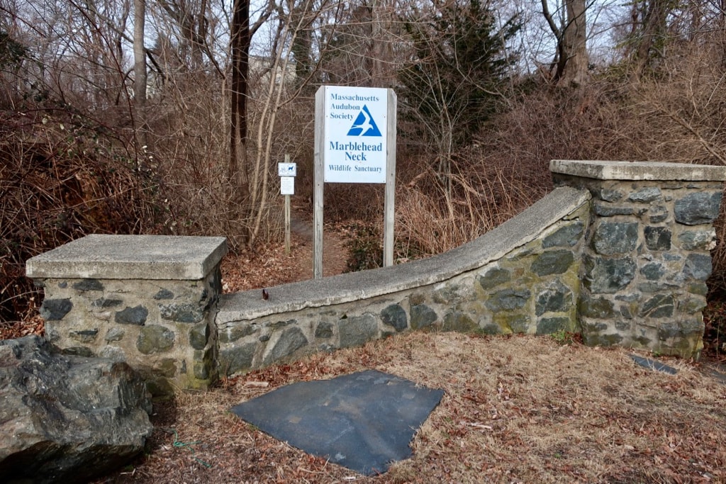 Marblehead Neck Wildlife Sanctuary Mass Audubon