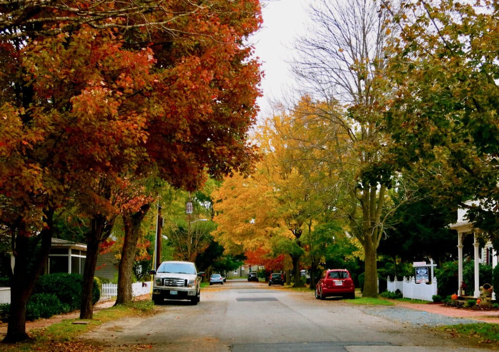 Fall foliage on an Oxford MD street