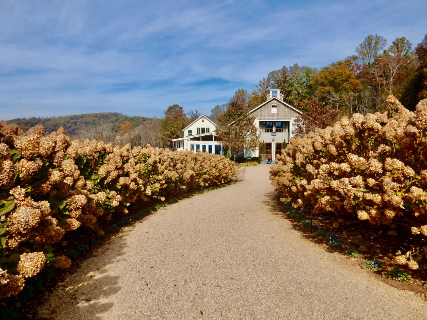 Pippin Hill Winery outside Charlottesville VA