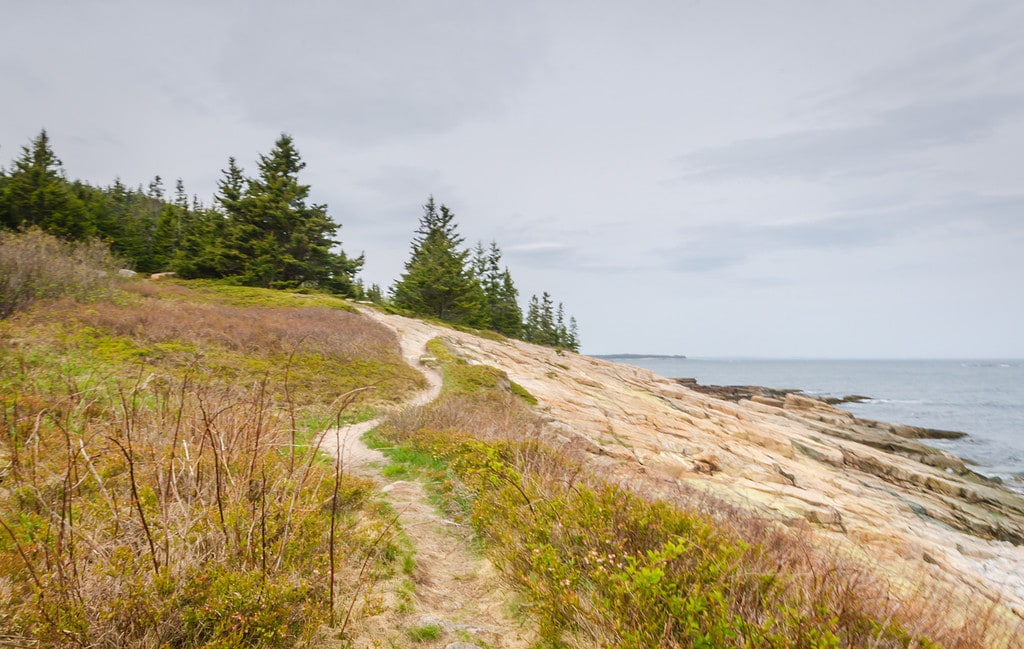 Schoodic Point hike