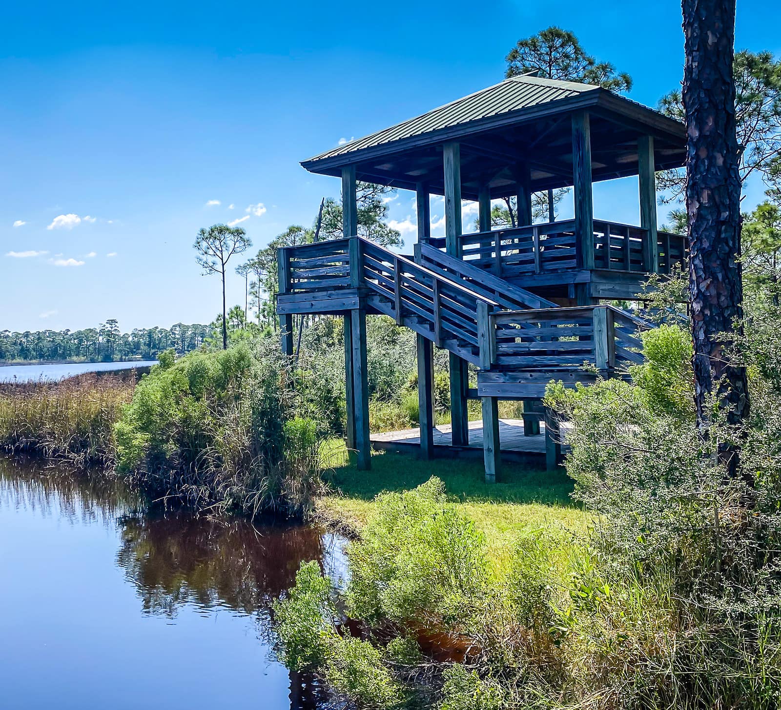 Bon Secours National Wildlife observation deck
