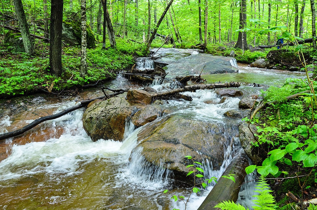 Les Ruisseaux trail