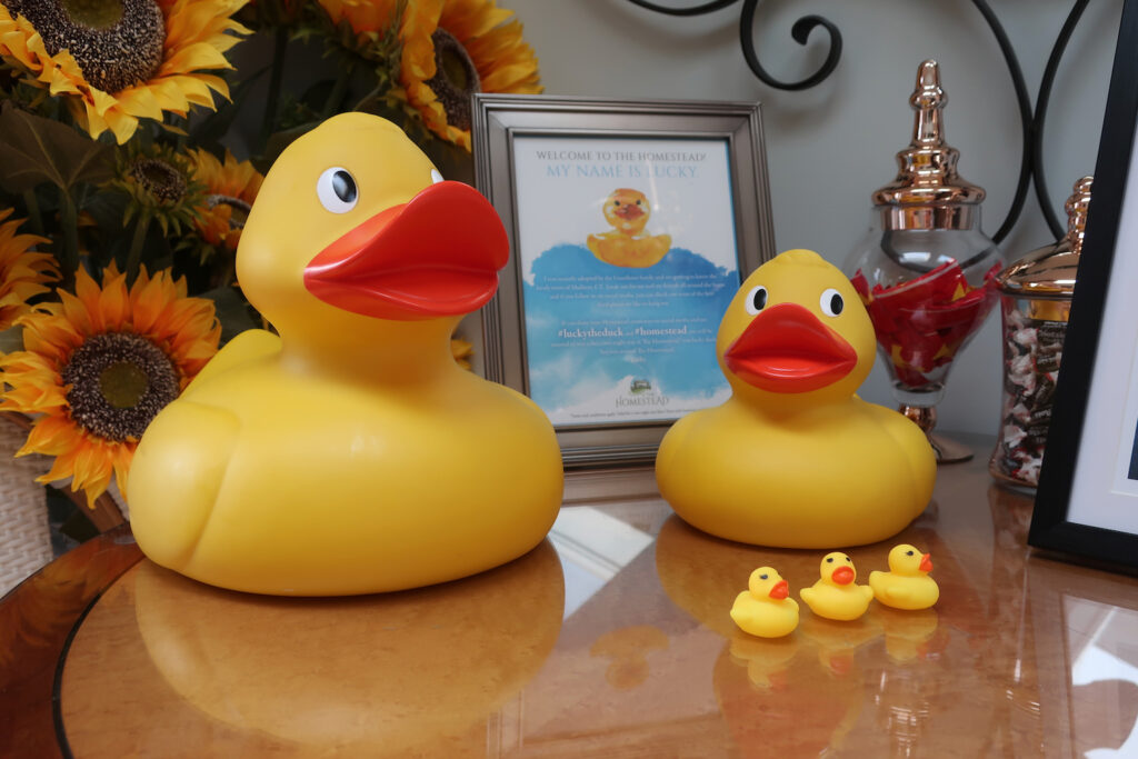Lucky Duckies at Homestead Inn Madison CT
