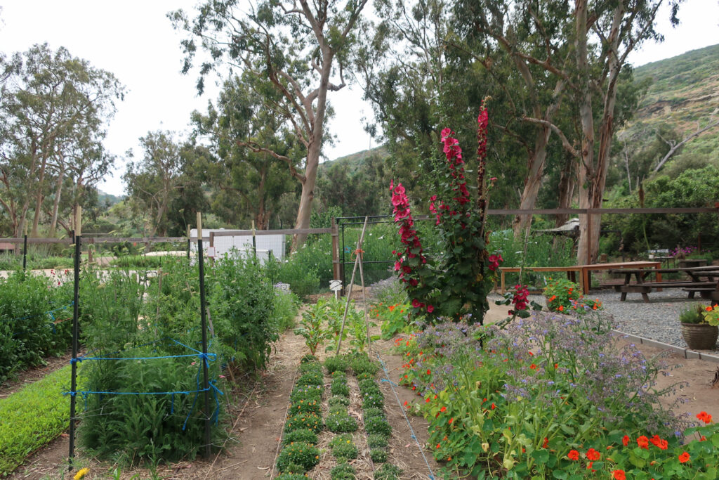 The Farm at the Ranch Laguna Beach CA