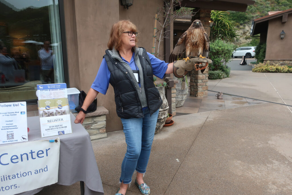 OC Bird of Prey Center presentation at The Ranch at Laguna