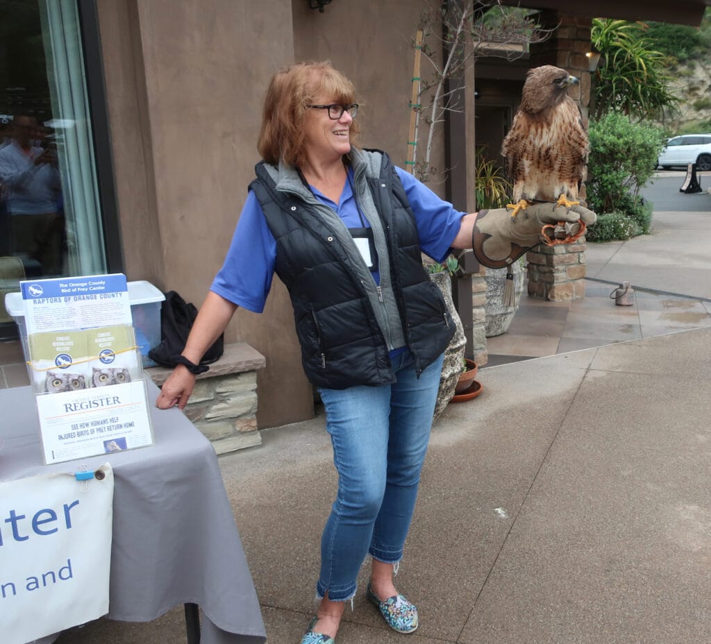 Owl Education at The Ranch at Laguna Beach