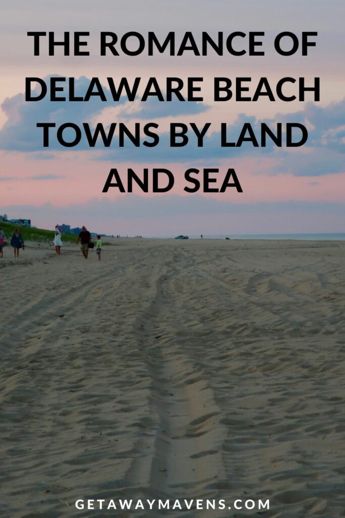 Delaware Beach Towns pin