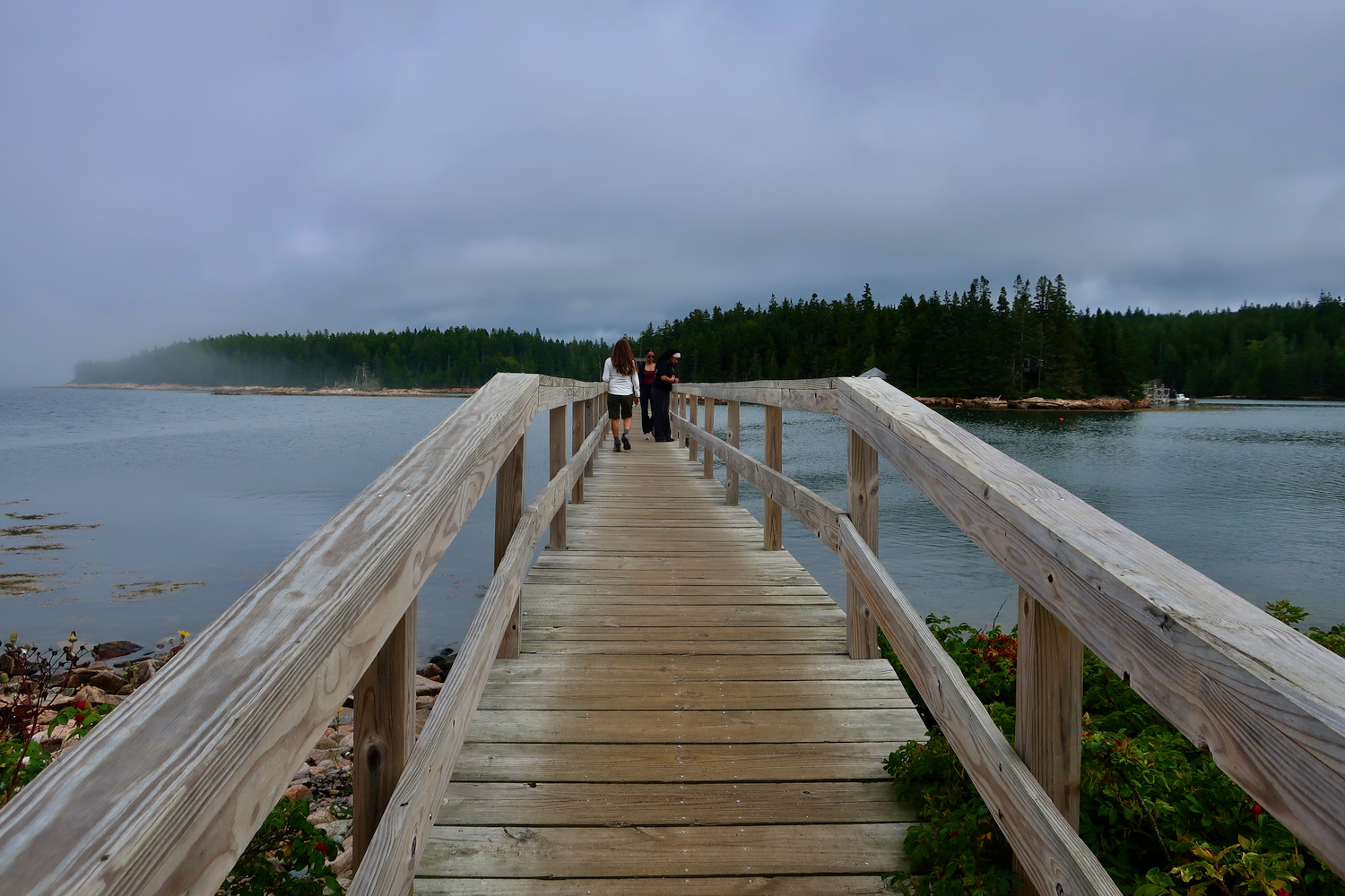 Frazer Point Picnic Area pier in Acadia NP Schoodic Peninsula