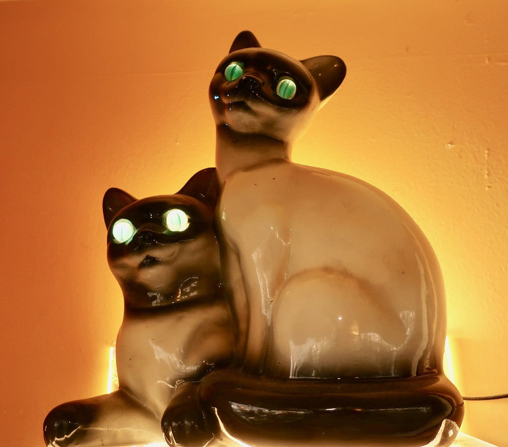 spooky Persian cat lamp in Kitty Room, Bills Bike Barn PA