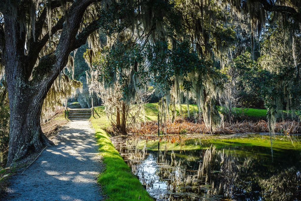 Middleton Place Cypress Pond