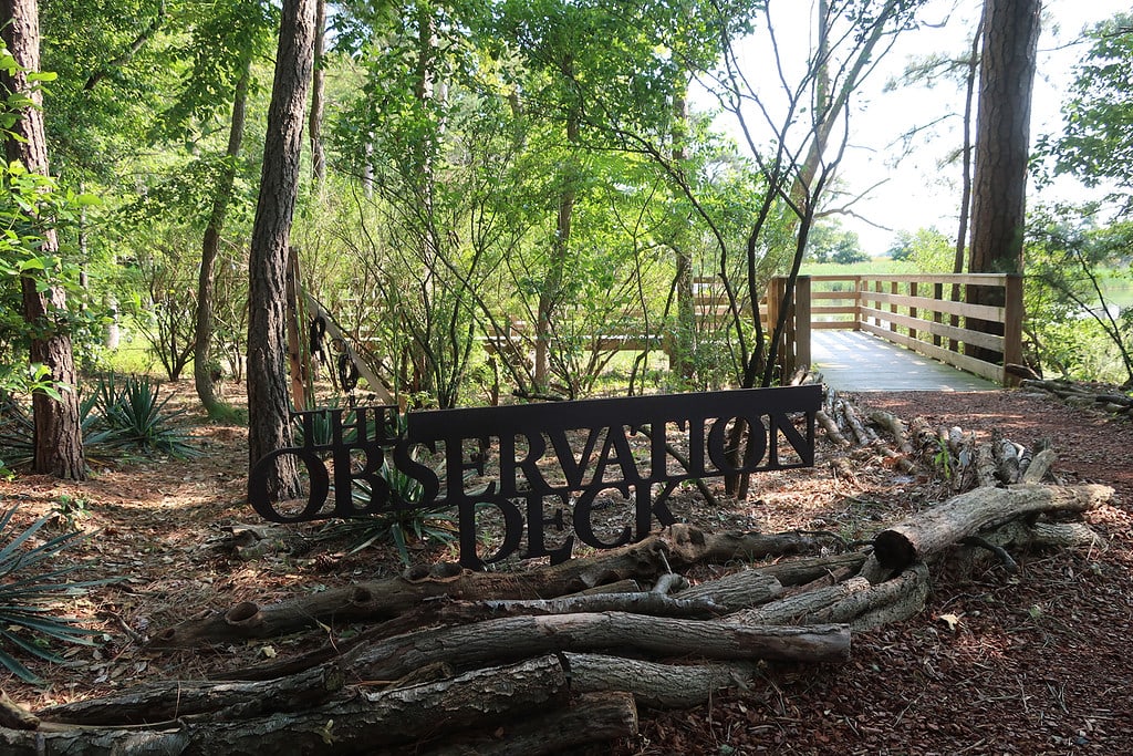 Pepper Creek observation deck at Delaware Botanic Gardens