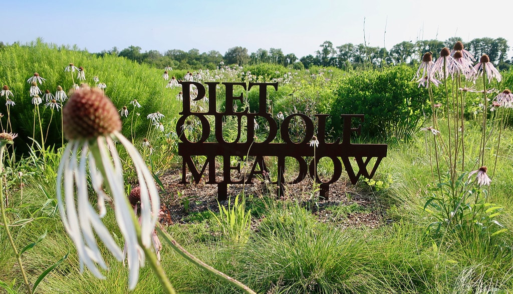 Piet Oudolf Meadow at Delaware Botanic Garden