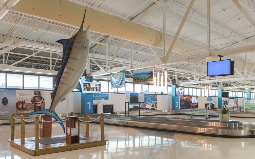 Blue Marlin at St. Thomas airport.