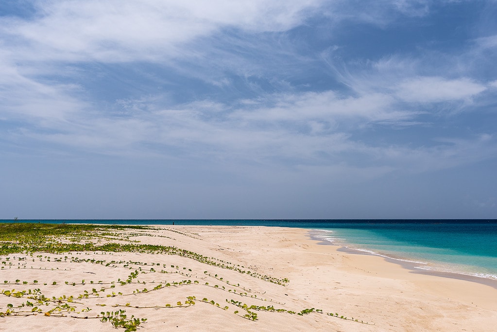 Sandy Point Beach