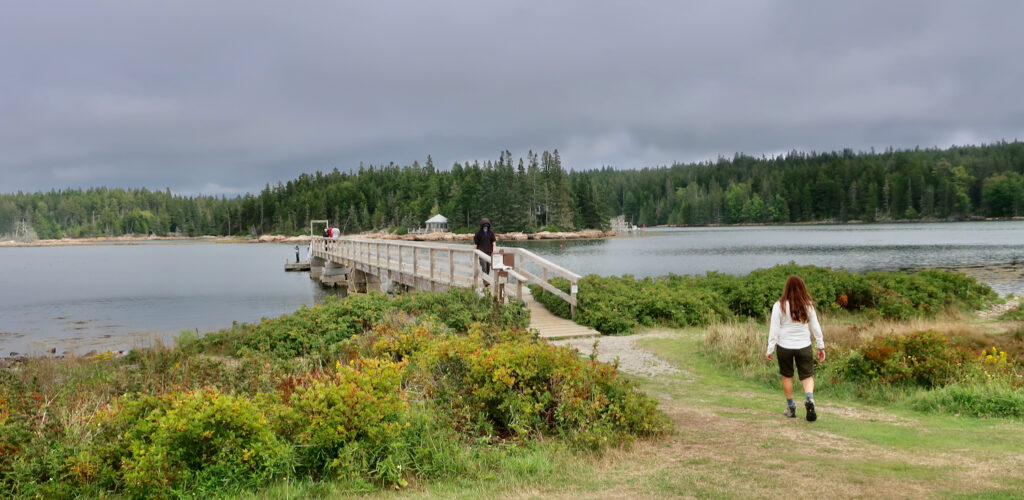 Frazer Point Picnic Area on Schoodic Peninsula Park Loop Maine