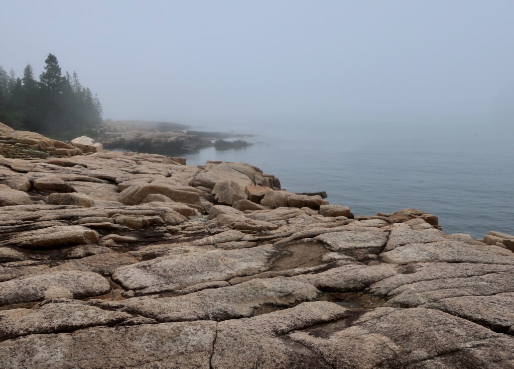 Ocean vistas from Loop Road on Schoodic Peninsula