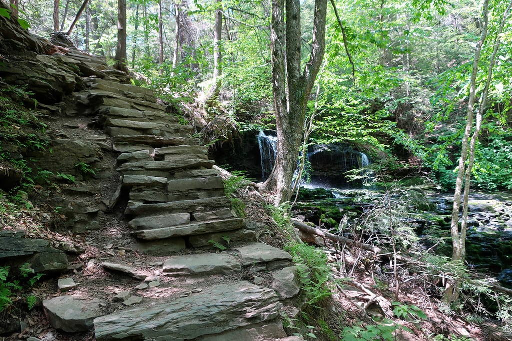 Steep steps on Waterfall Loop at Ricketts Glen State Park PA