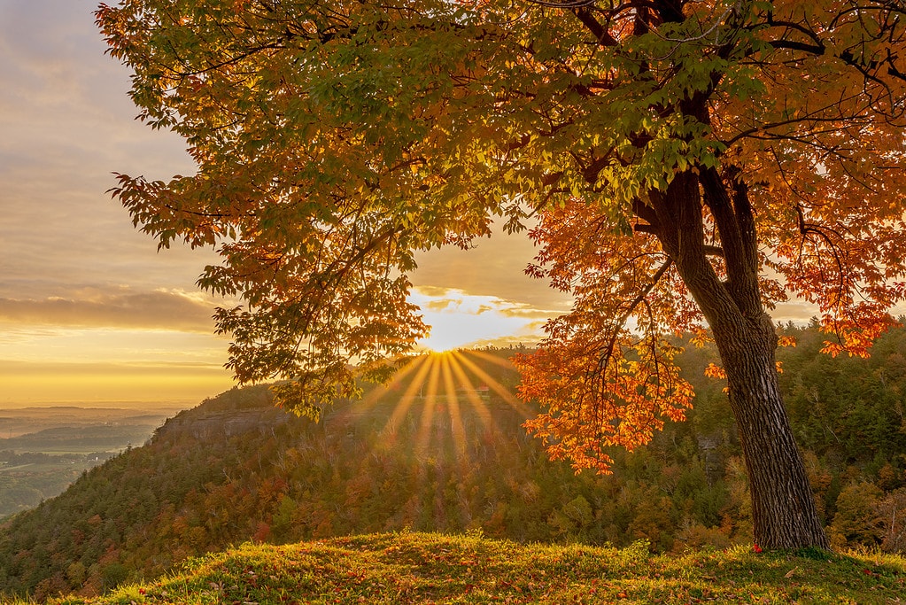 Watching the sunrise at Thatcher Park is one of the best things to do in Albany NY